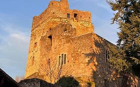 Burg Hermannstein - Queens Room